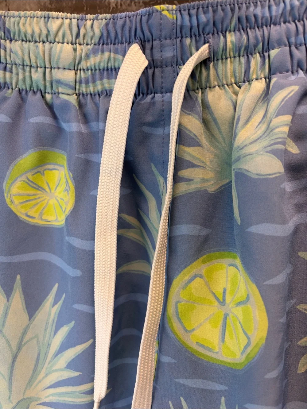 Chubbies  Blue Pineapple & Lime Print Men’s Swim Shorts